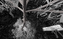 黃心健＆Laurie Anderson蘿瑞．安德森跨國合作VR作品《沙中房間》