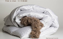 【皇室羽毛工房】皇室の鑽石Pride to share冰島雁鴨羽絨被 感受大自然所餽贈的溫暖