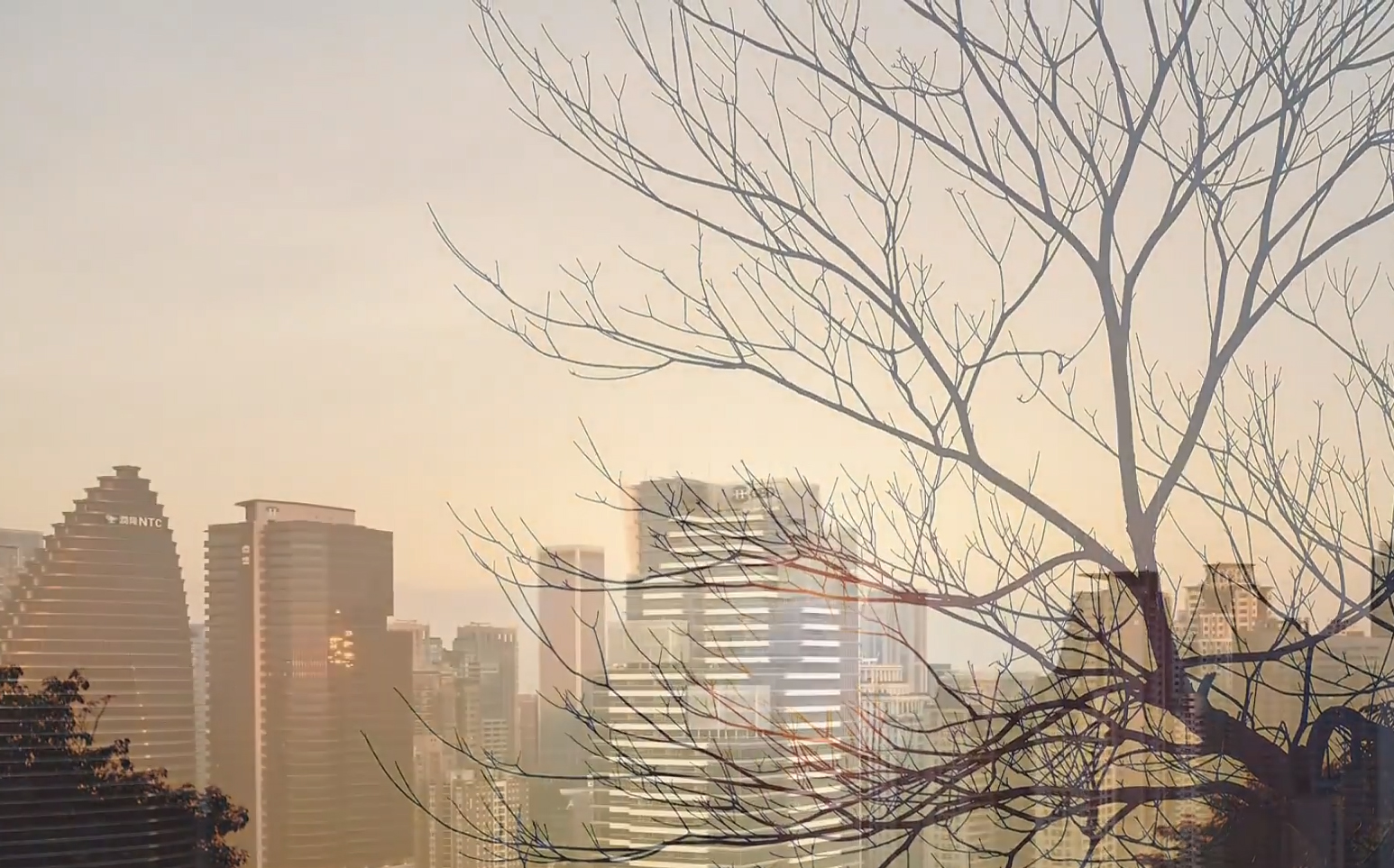 碧國時雍 地段篇