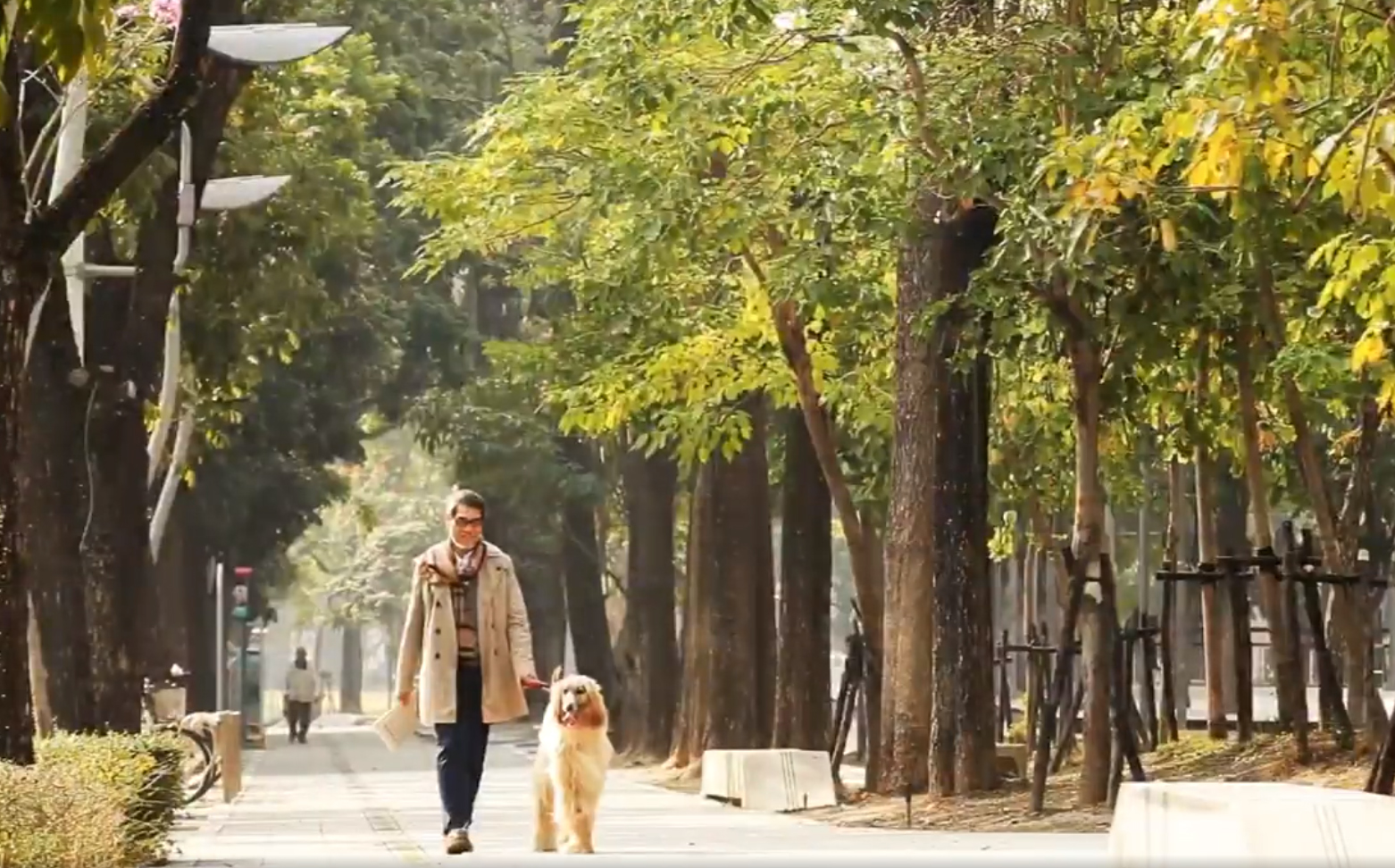鄉林美術舘 科博草悟道第一排 153坪一層一戶